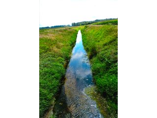Property photo 9 - LAND AUCTION - 314+/- ACRES OFFERED IN 4 TRACTS IN WHITE COUNTY, INDIANA